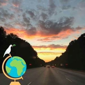 Meet your Posher, Timothy